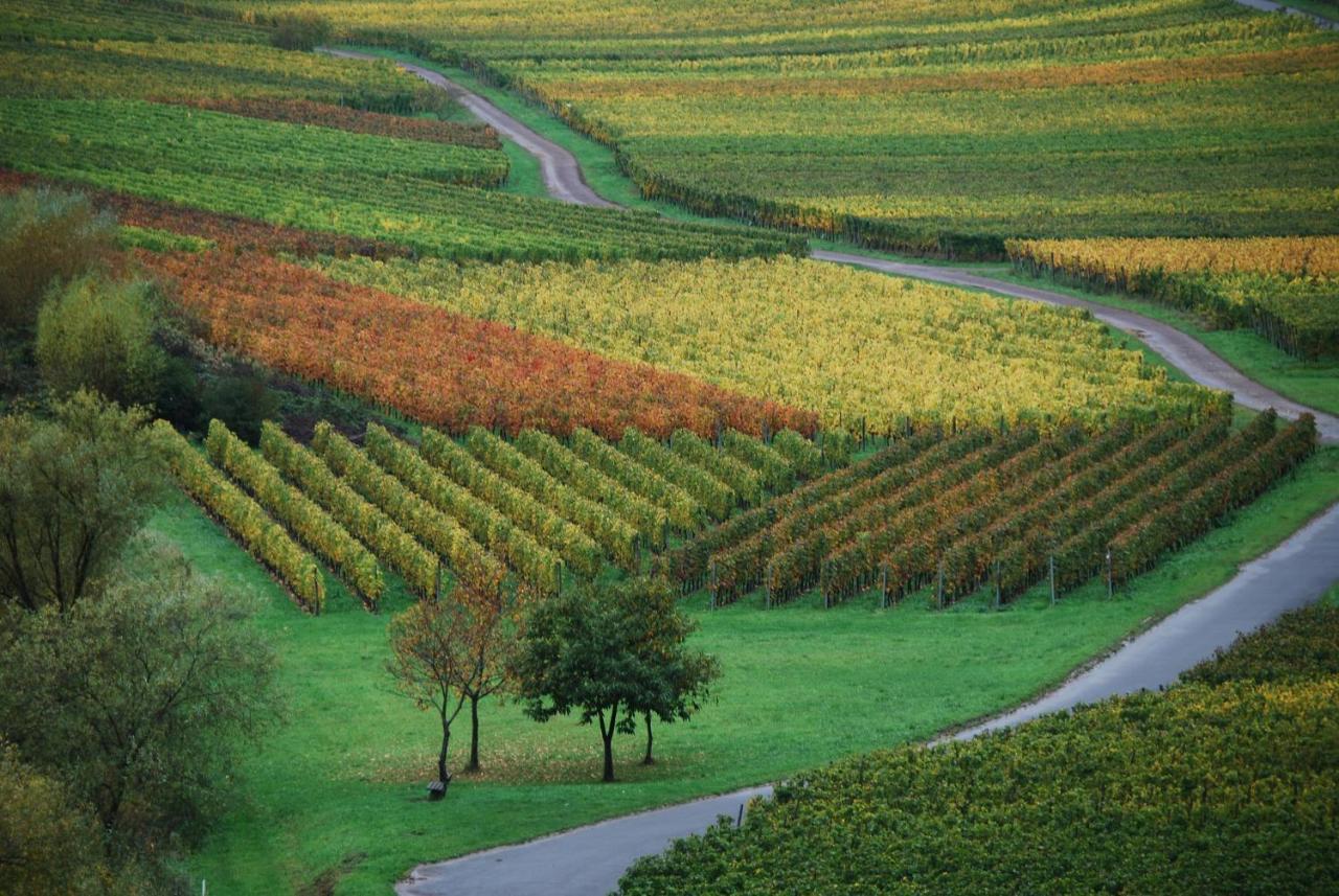 Weingut Pension Gibbert-Pohl Briedel Exterior photo